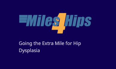 June is Hip Dysplasia Awareness Month